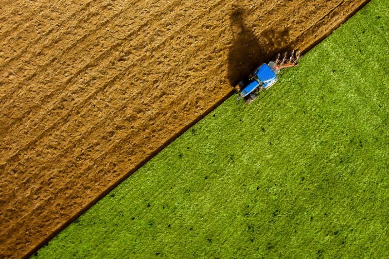Food & Agriculture
