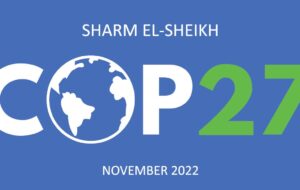 APEX Contact Details