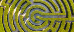 Sustainability: From Buzzword To Business Critical