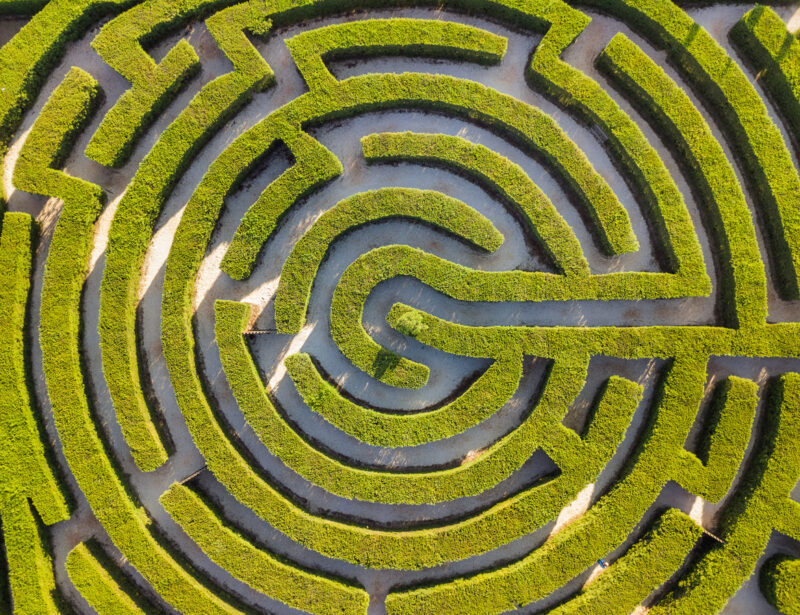 Sustainability: From Buzzword To Business Critical