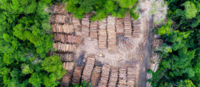 Escaping The Sustainability Transparency Trap