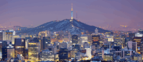 Moore Sejong joins the Moore Network