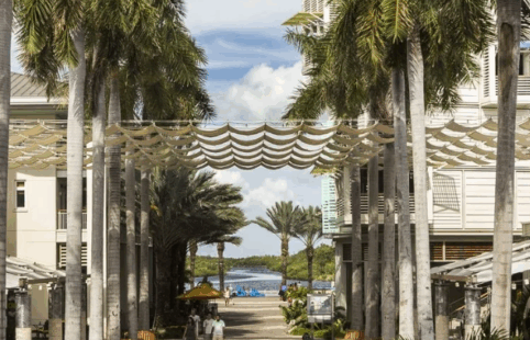 Uncorrelated Cayman 2025