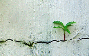 $4TRILLION ESG DIVIDEND