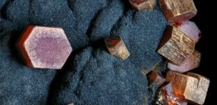 A fourth industrial revolution? It is only just starting