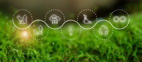 Sustainability Reporting: Where do you actually start?