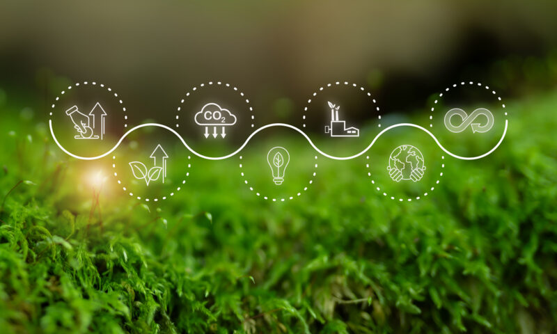 Sustainability Reporting: Where do you actually start?